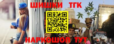 стафф Камышлов
