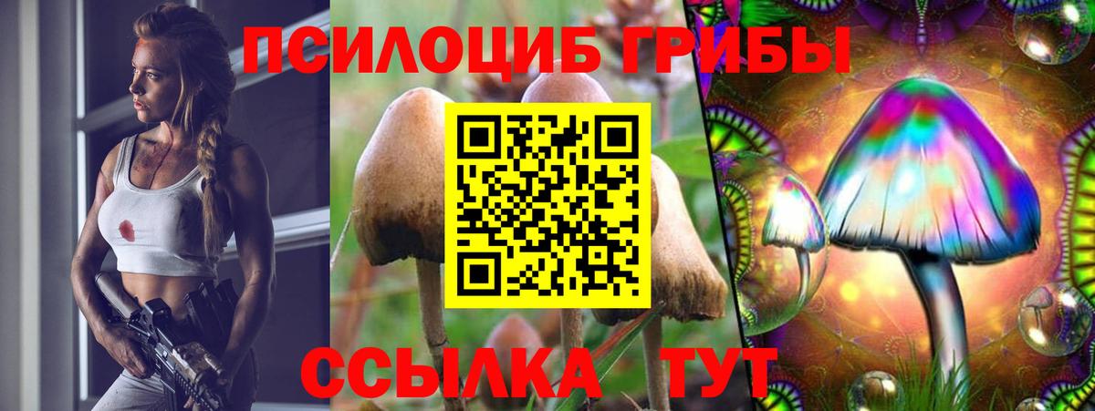 Котельники  Псилоцибиновые грибы Psilocybe  Вход с VPN  Галлюциногенные грибы прущие грибы 